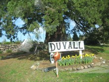 Duvall, WA