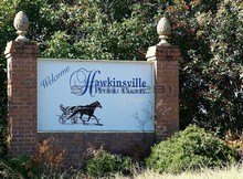 Hawkinsville, GA
