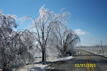 Napoleon, MO