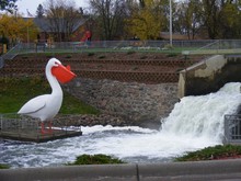 Pelican Rapids, MN