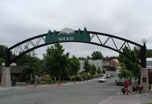 Weed, CA